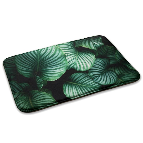 Tapete cozinha Folhas de plantas tropicais