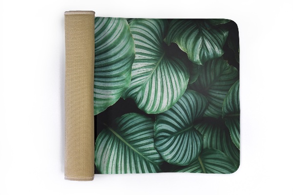 Tapete cozinha Folhas de plantas tropicais