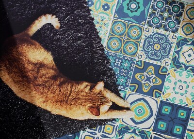 Tapete vinílico Azulejos espanhóis
