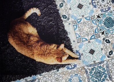 Tapete vinílico Azulejos espanhóis